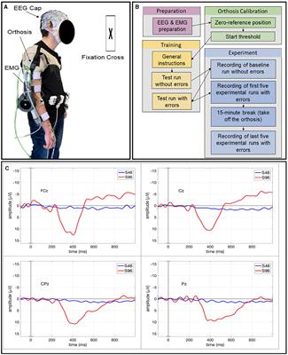 EEG and EMG dataset for the detection of errors introduced by an active orthosis device